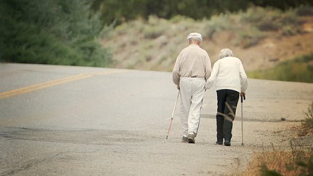 Old couple walking with canes.